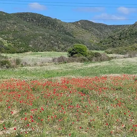 Atlantico 别墅 阿尔热祖尔