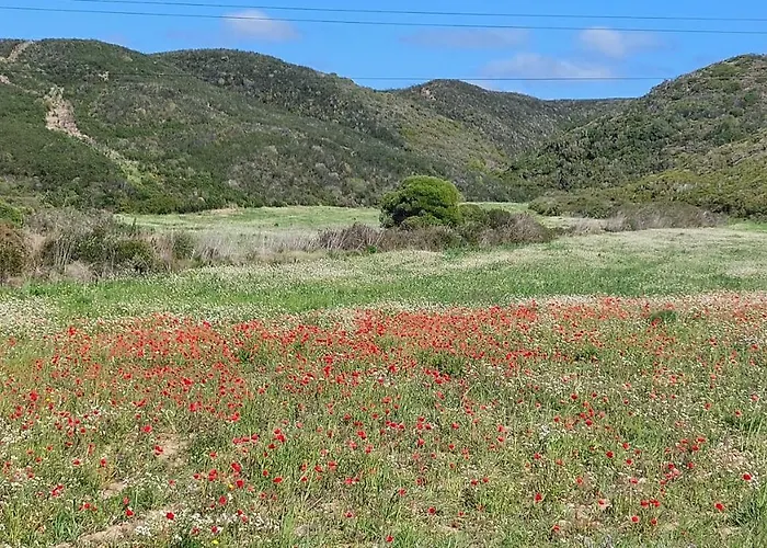 Atlantico 빌라 알제주르