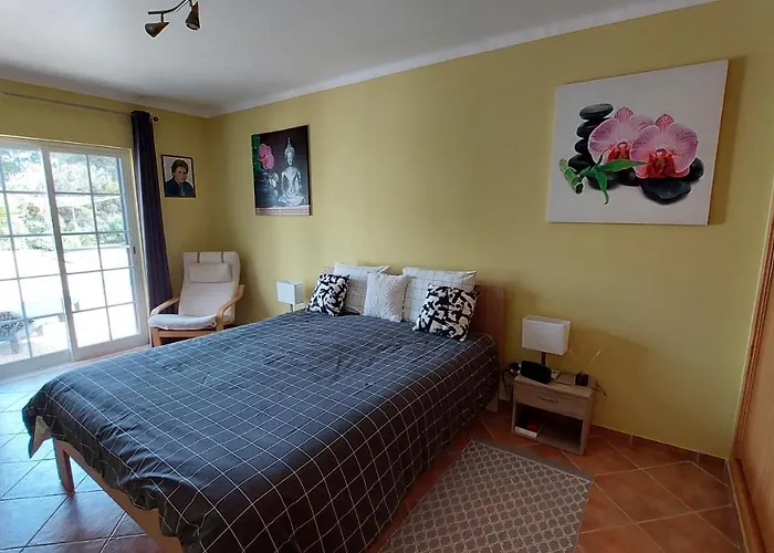 فيلة Atlantico *