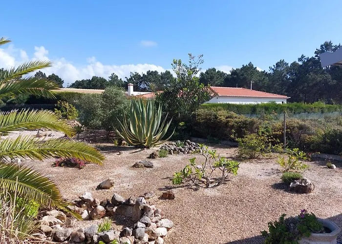 Atlantico فيلة *